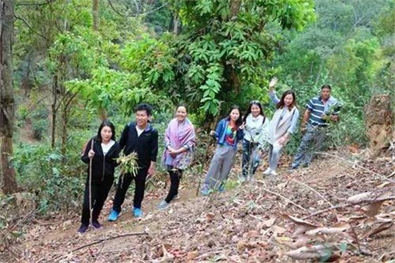 中吉号茶山行