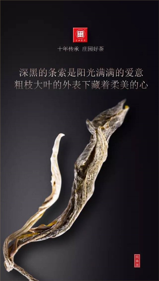 古树茶纯麻黑普洱茶