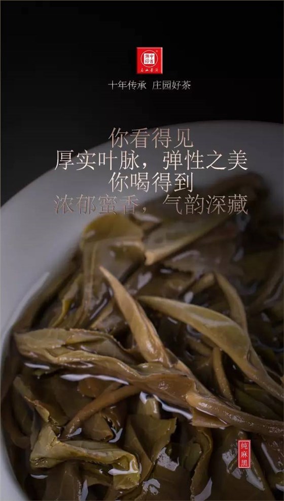 古树茶纯麻黑普洱茶