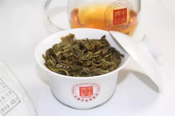 挑选普洱茶