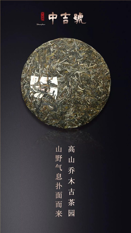 云南普洱茶旺财