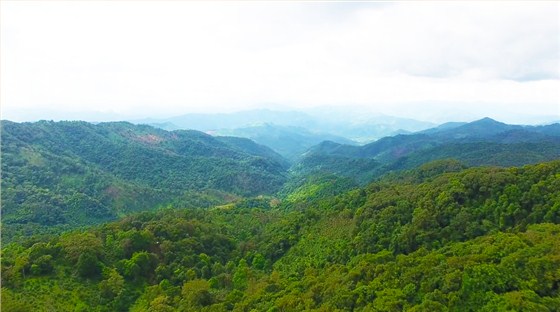 中吉号麻黑庄园