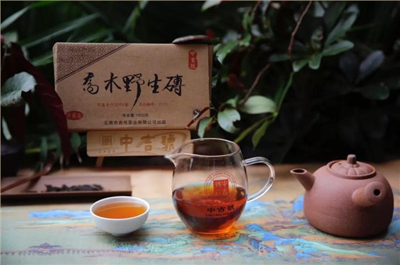 云南普洱茶