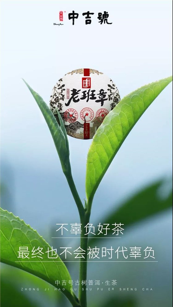 中吉号老班章普洱茶