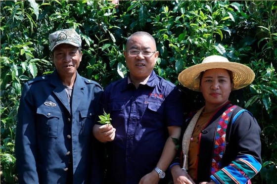 中吉号老班章普洱茶