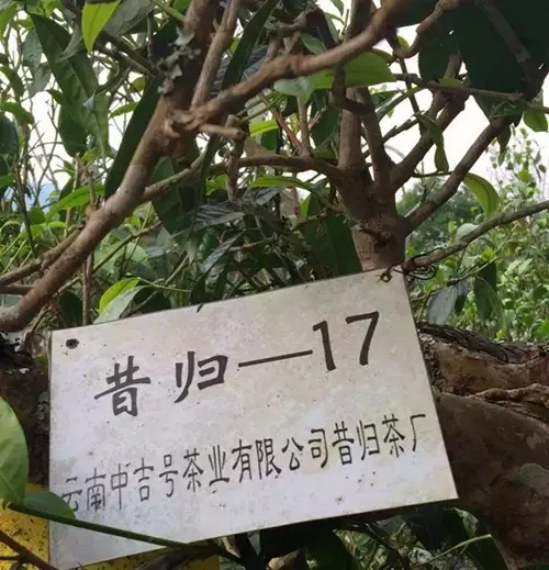 中吉号