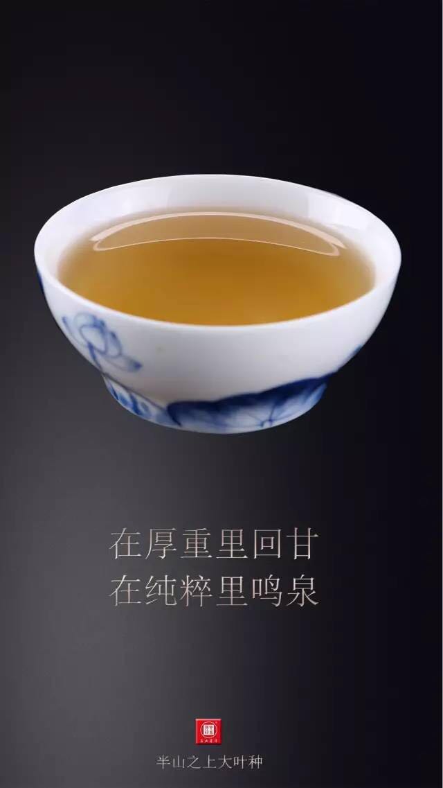 中吉号古树茶