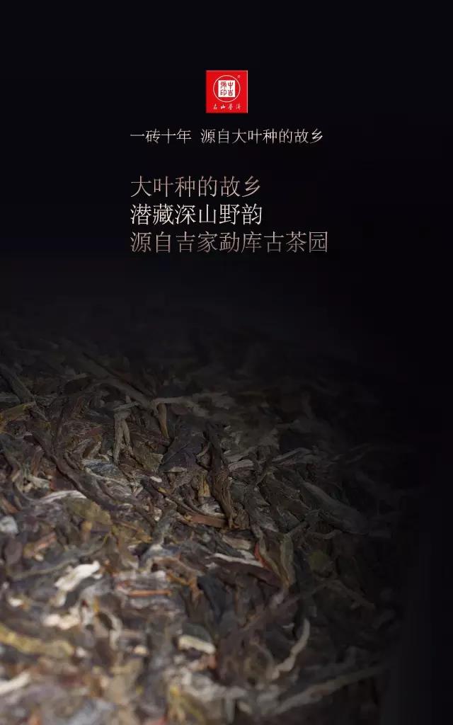 中吉号古树茶