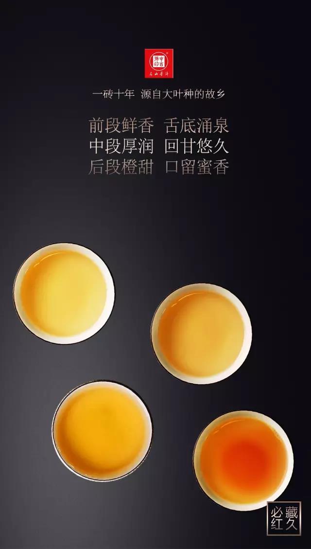 中吉号古树茶